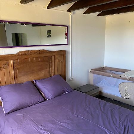 Maison De Campagne Proche Du Zoo De Beauval Nouans-les-Fontaines Eksteriør billede